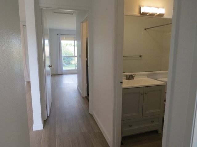 interior space with sink and wood-type flooring