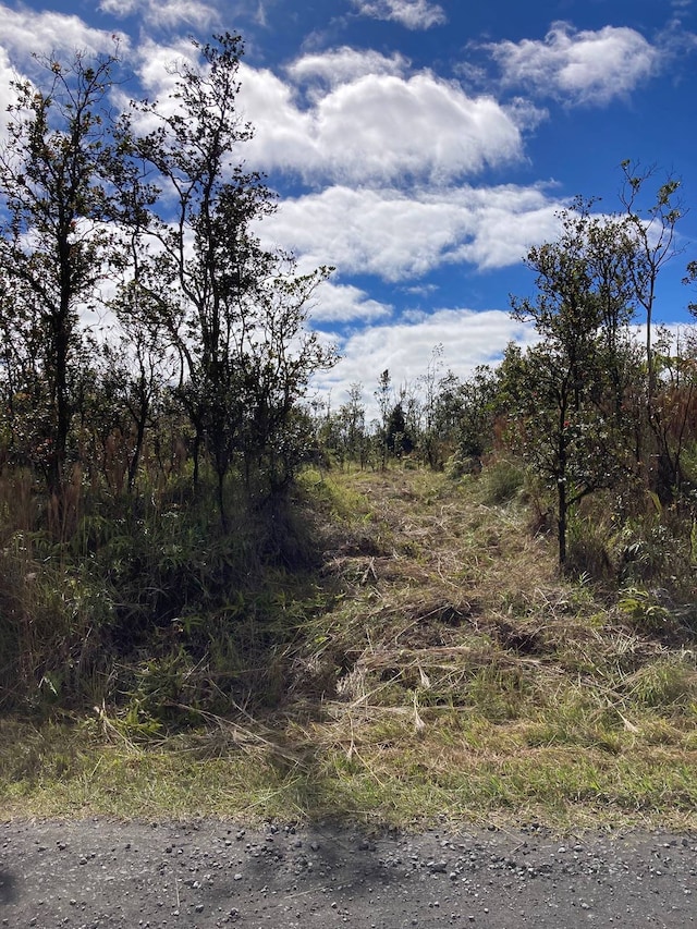 Omeka Rd, Volcano HI, 96785 land for sale