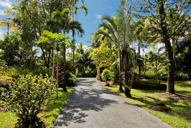 view of property's community with a yard