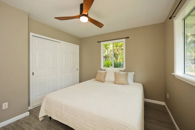 bedroom with dark hardwood / wood-style flooring, ceiling fan, and multiple windows