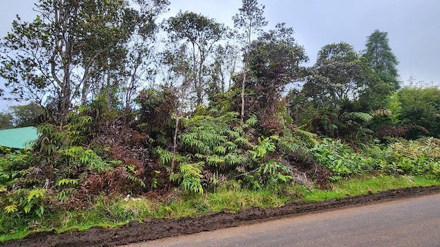 Listing photo 2 for Nahelenani St, Volcano HI 96785