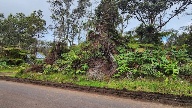 Listing photo 3 for Nahelenani St, Volcano HI 96785