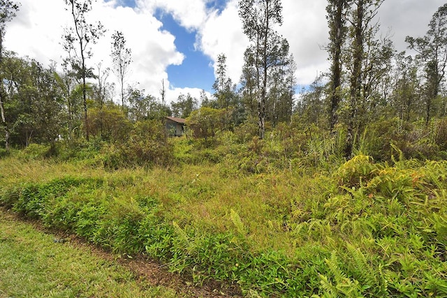 Listing photo 2 for Bamboo Dr, Pahoa HI 96778