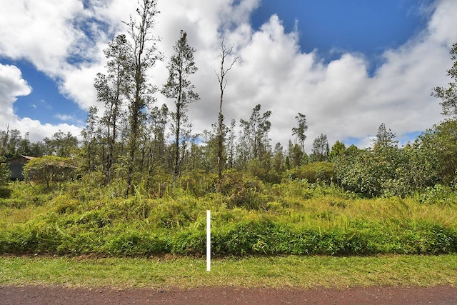 Listing photo 3 for Bamboo Dr, Pahoa HI 96778