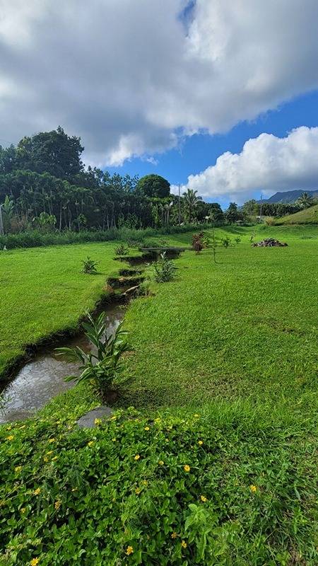 Kipapa Rd Unit 4, Kapaa HI, 96746 land for sale