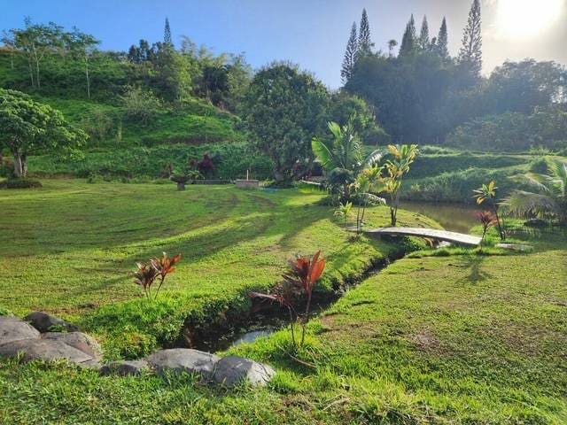 Listing photo 3 for Kipapa Rd Unit 4, Kapaa HI 96746