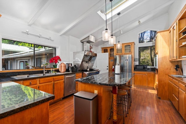 kitchen featuring plenty of natural light, a kitchen island, stainless steel appliances, and dark wood-type flooring