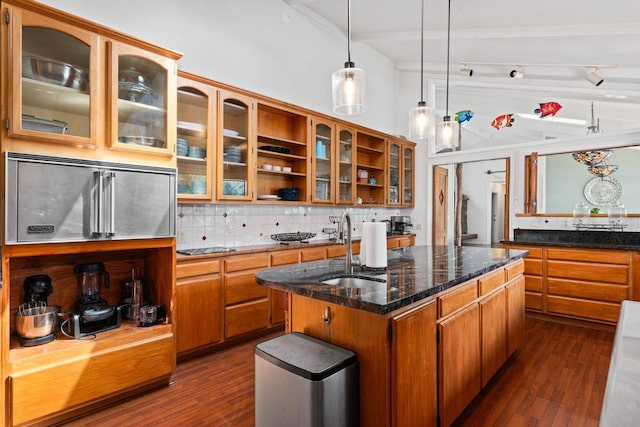 kitchen featuring dark hardwood / wood-style floors, hanging light fixtures, a kitchen island with sink, and sink