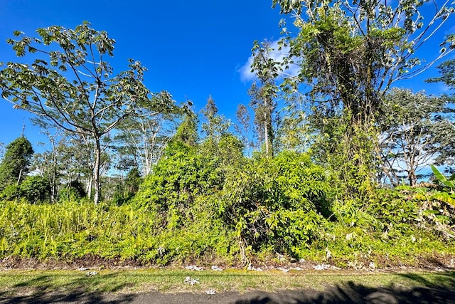 Puna Rd, Pahoa HI, 96778 land for sale