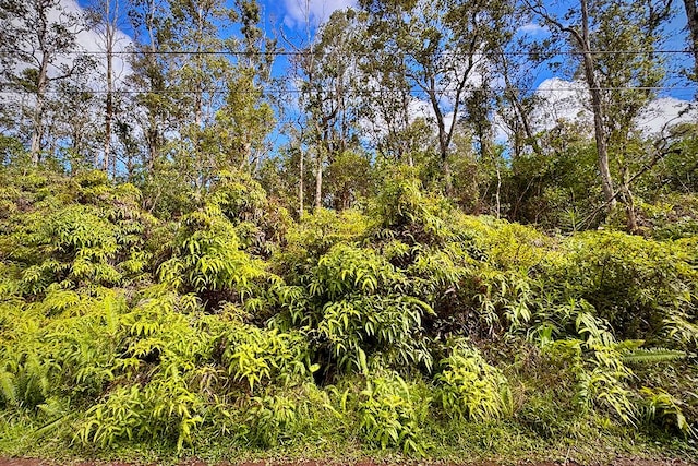 Listing photo 2 for Hilo St, Pahoa HI 96778