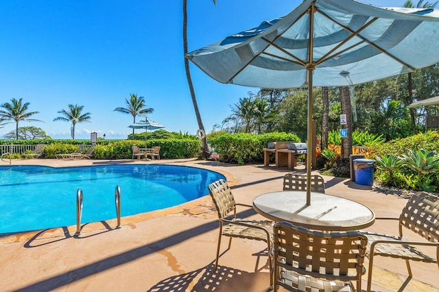 view of pool featuring a patio