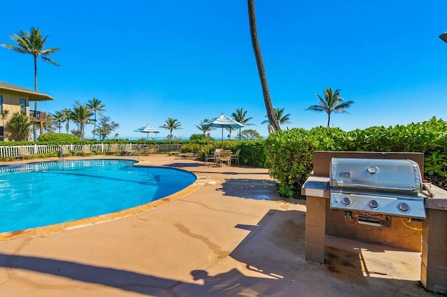 view of swimming pool with a patio and area for grilling