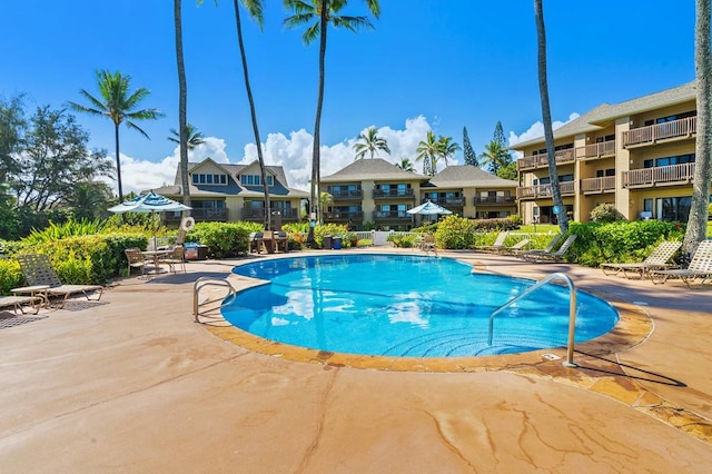 view of pool featuring a patio