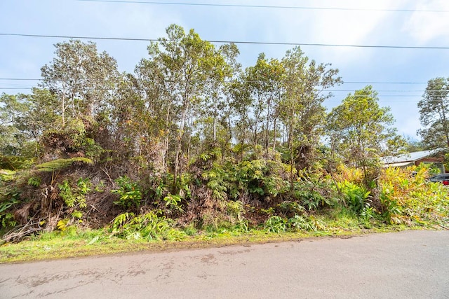 Listing photo 3 for Ala Ohia St, Volcano HI 96785