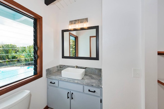 bathroom featuring toilet and vanity with extensive cabinet space