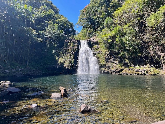 Listing photo 3 for 27-870 Old Mamalahoa Hwy, Pepeekeo HI 96783