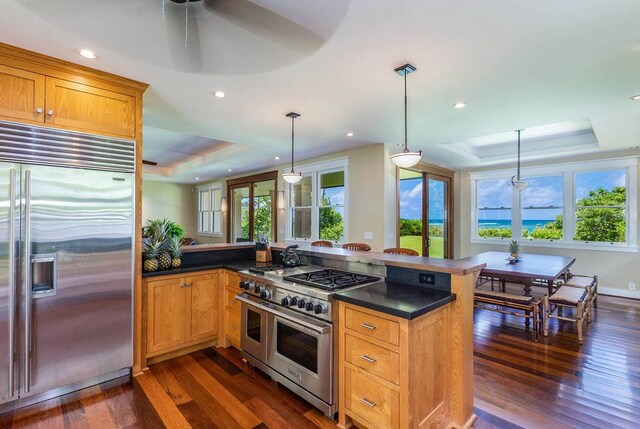 kitchen featuring high quality appliances, a tray ceiling, hanging light fixtures, and dark wood-type flooring