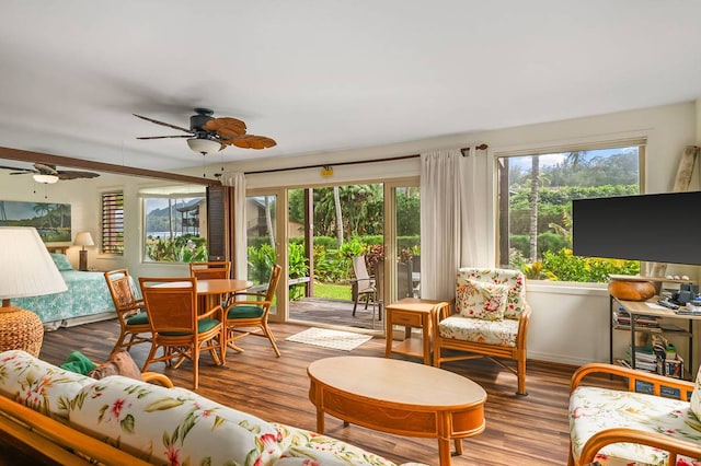 living room with dark hardwood / wood-style flooring and ceiling fan