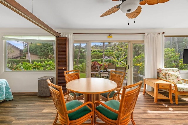 dining space with plenty of natural light, dark hardwood / wood-style floors, and ceiling fan