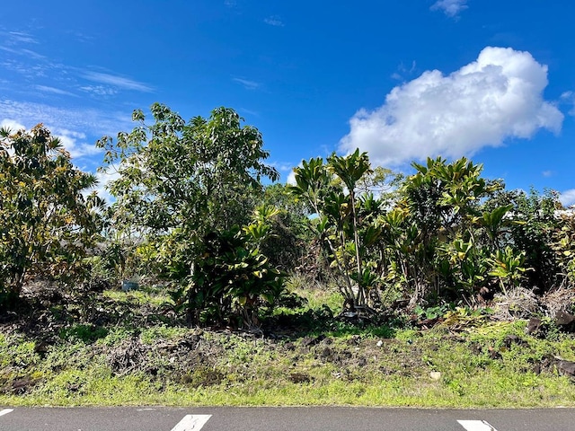 Hokulani St Lot 81, Hilo HI, 96720 land for sale