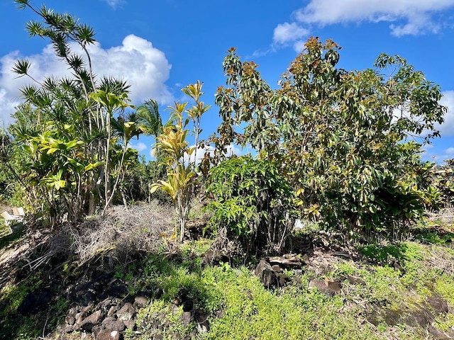 Listing photo 2 for Hokulani St Lot 81, Hilo HI 96720