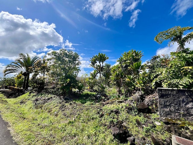 Listing photo 3 for Hokulani St Lot 81, Hilo HI 96720