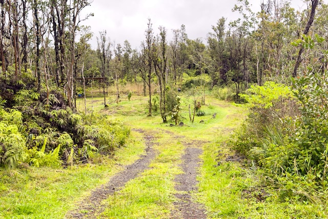 view of local wilderness