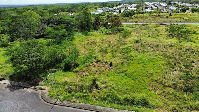 Kilo Hoku Pl, Hilo HI, 96720 land for sale