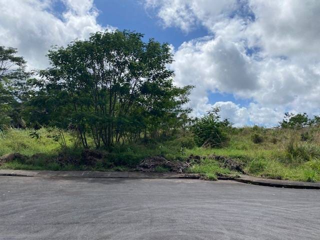 Listing photo 2 for Kilo Hoku Pl, Hilo HI 96720