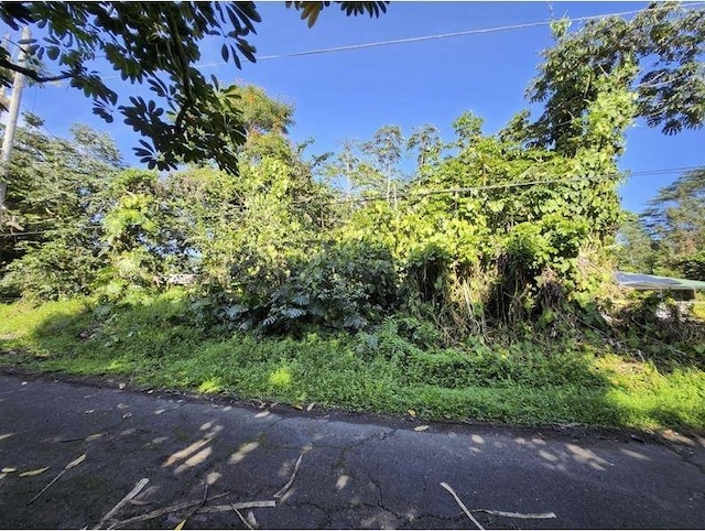 Listing photo 3 for Kawakawa St, Pahoa HI 96778