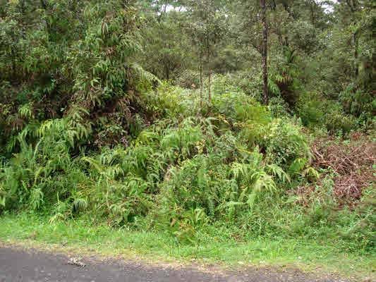 Mayzee Rd, Pahoa HI, 96778 land for sale