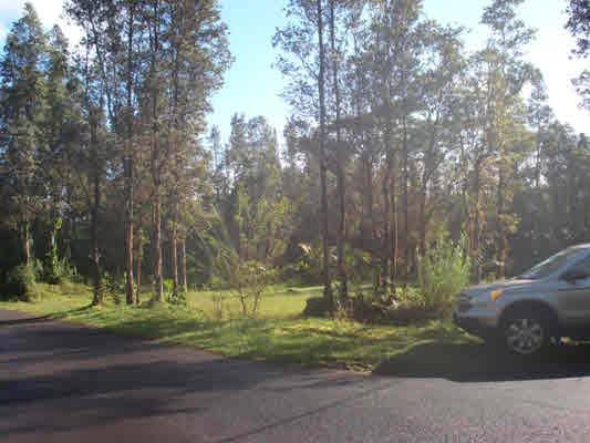 Listing photo 2 for Mayzee Rd, Pahoa HI 96778