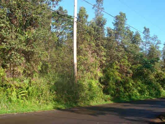 Listing photo 3 for Mayzee Rd, Pahoa HI 96778