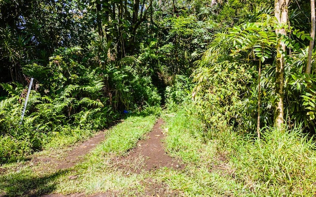 Listing photo 2 for Kekauonohe St, Pahoa HI 96778