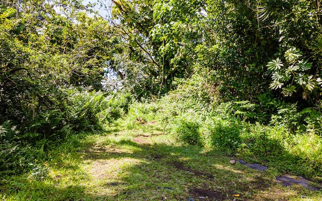 Listing photo 3 for Kekauonohe St, Pahoa HI 96778