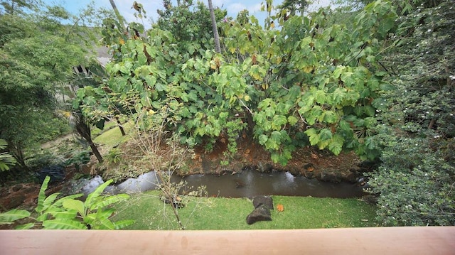 view of water feature