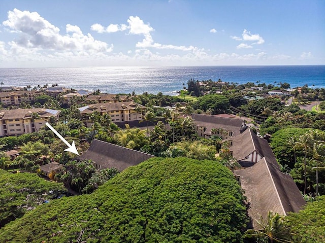 bird's eye view with a water view