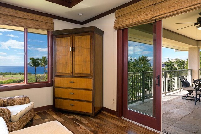 interior space featuring a water view, ceiling fan, and dark wood-type flooring