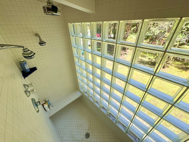 bathroom featuring a wealth of natural light