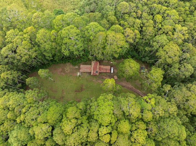 drone / aerial view with a forest view