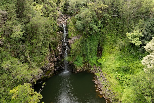 aerial view with a view of trees