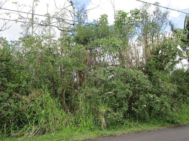 Listing photo 2 for Macadamia Dr, Pahoa HI 96778