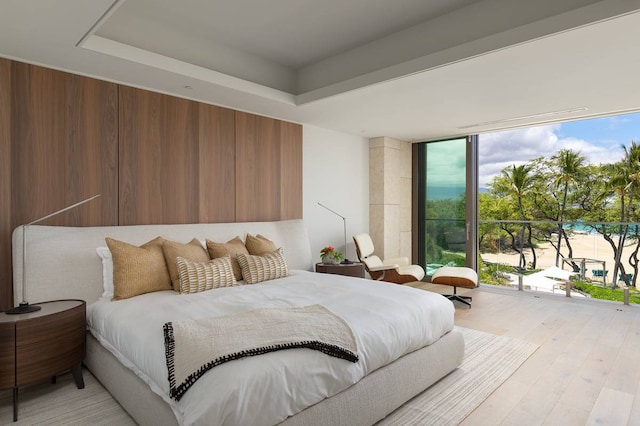 bedroom with a raised ceiling and light hardwood / wood-style flooring