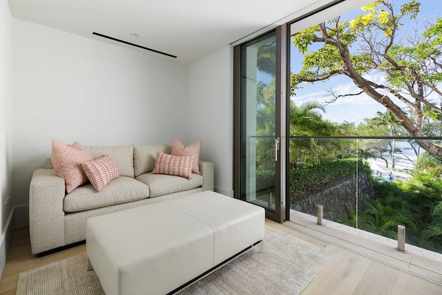 living room with a wall of windows, plenty of natural light, and light hardwood / wood-style floors