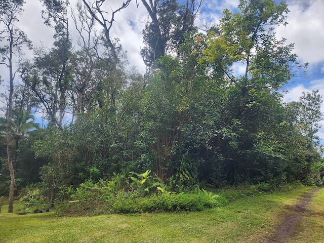 Iolani St, Pahoa HI, 96778 land for sale