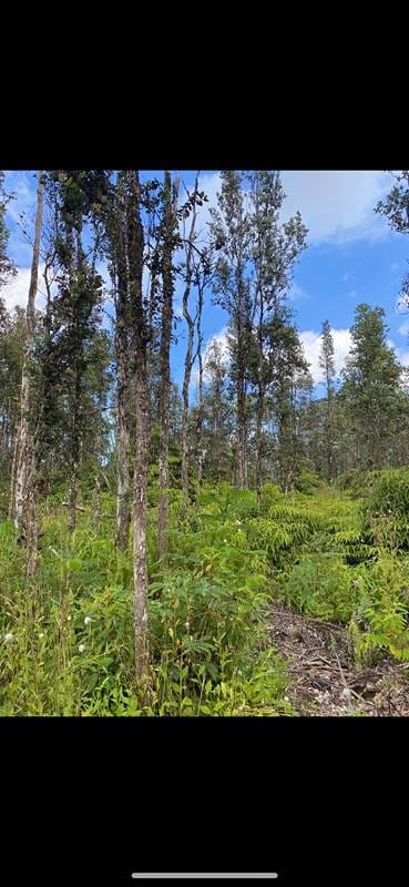 Hapuu Rd, Pahoa HI, 96778 land for sale