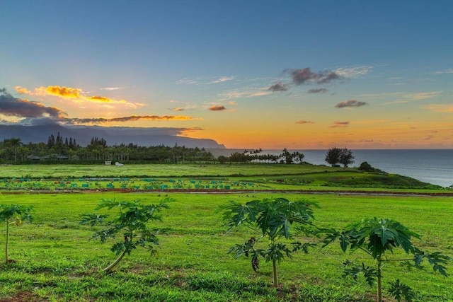 Listing photo 2 for Kauapea Rd, Kilauea HI 96754