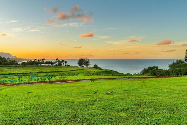 Listing photo 3 for Kauapea Rd, Kilauea HI 96754