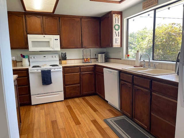 kitchen with light hardwood / wood-style flooring, sink, and white appliances