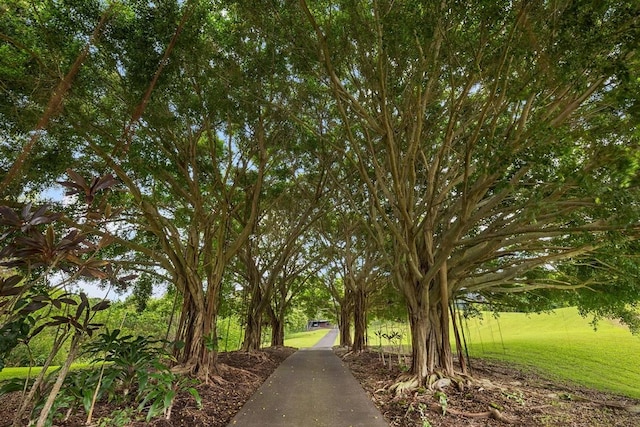 view of property's community with a yard